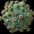 hiv_virus_aids_240909