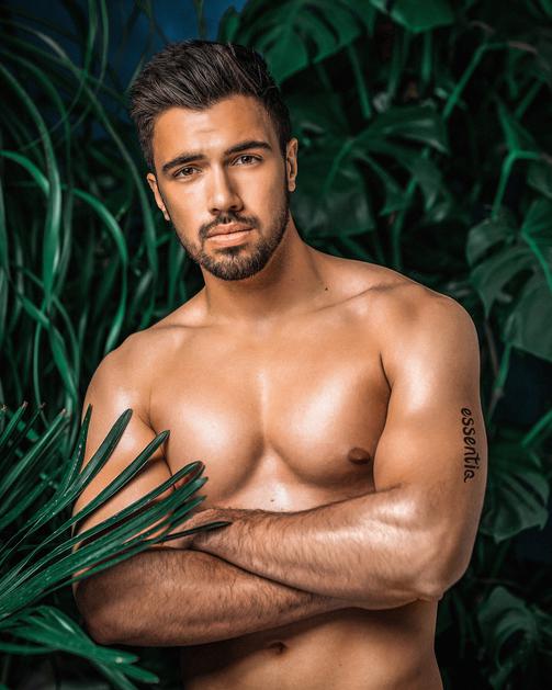 Mister Slovenije 2019