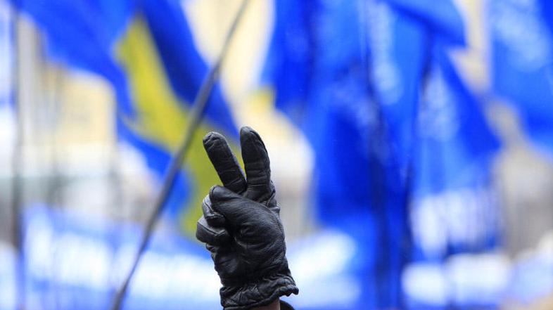 Podporniki Janukoviča že slavijo zmago. (Foto: Reuters)