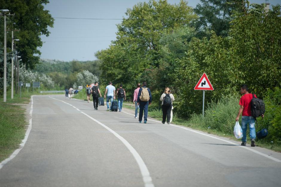 Horgoš | Avtor: Anže Petkovšek
