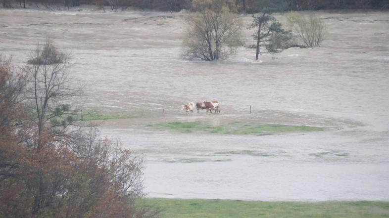 Spodnje Lancovo pri Radovljici 