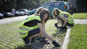Takole dijaki in študentje, med drugim, čistijo okolico Velenja. (Foto: Gregor K