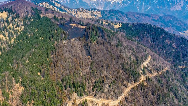 Potoška gora, gozd, občina Preddvor