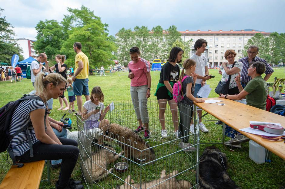 Festival za ljubitelje živali 2023 | Avtor: Anže Petkovšek