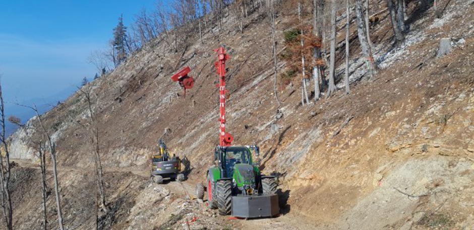 Potoška gora, gozd, obletnica požara, Preddvor | Avtor: Tomaž Polajnar