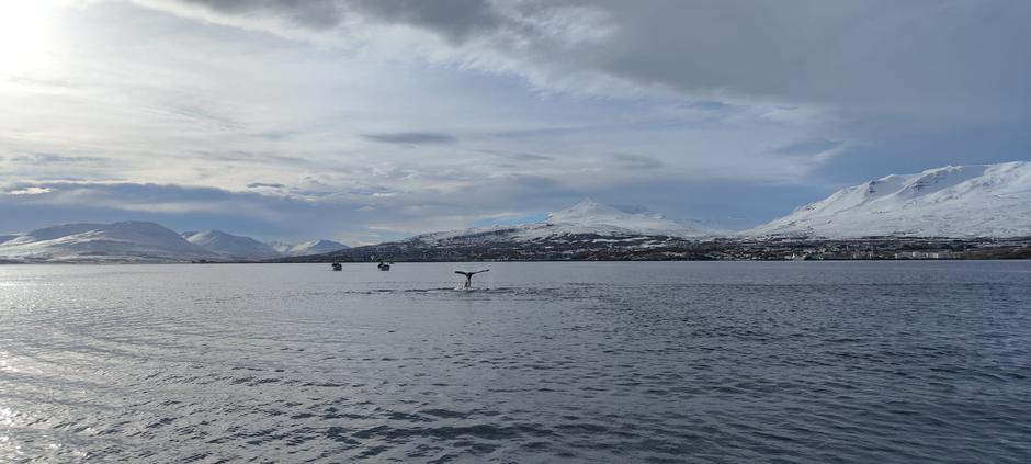 Islandija | Avtor: Žurnal24/Nina Šprohar