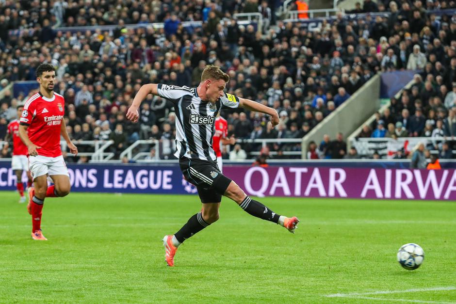 Harvey Barnes | Avtor: Profimedia