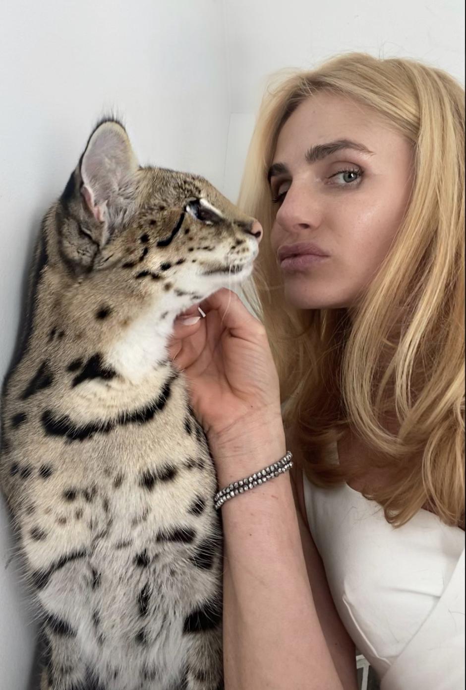 Piccollo | Avtor: Špela Kastelic: Piccollo