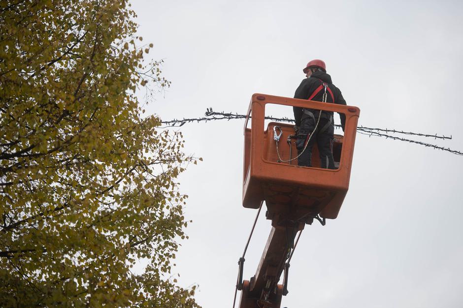 okraševanje Ljubljane | Avtor: Anže Petkovšek