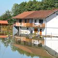 Na širšem območju Rakove Jelše in Črne vasi je bilo po podatkih Irsopa več inšpe