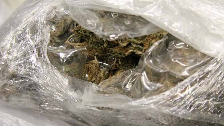 Marihuana v torbi
