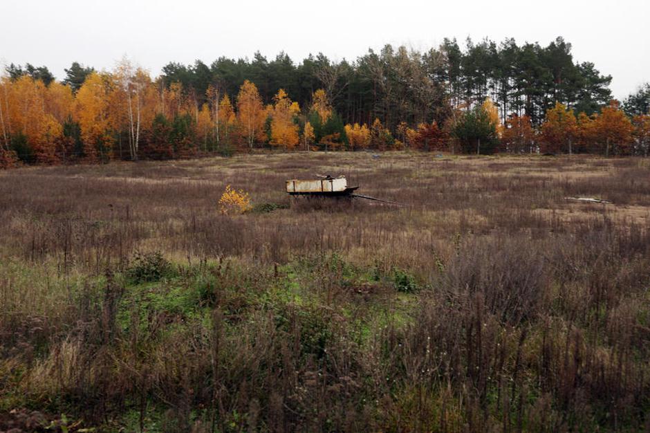 Teslina gigatovarna v Nemčiji | Avtor: Epa