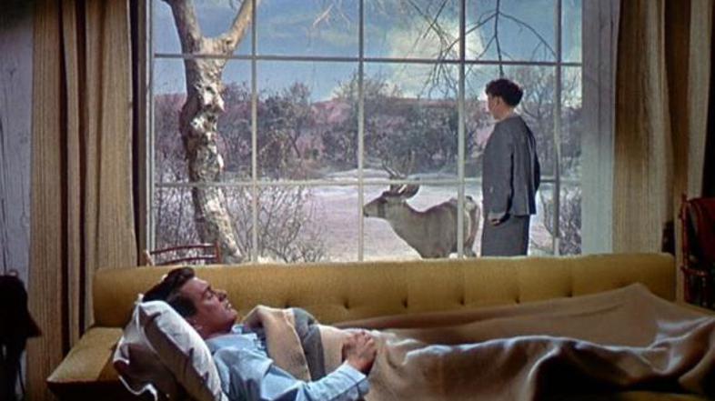 Vse, kar dovoli nebo