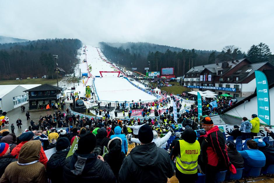 Zlata lisica | Avtor: Profimedia