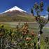 Cotopaxi, Ekvador