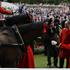 royal ascot