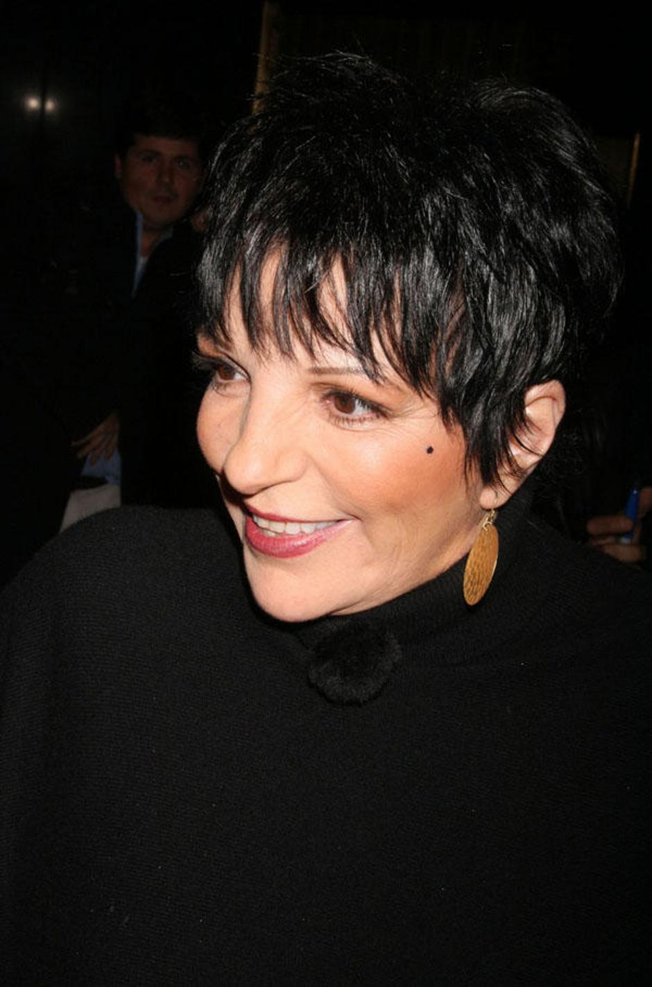 Liza Minelli si vzame, kar si zaželi. (Foto: Flynet) | Avtor: Žurnal24 main
