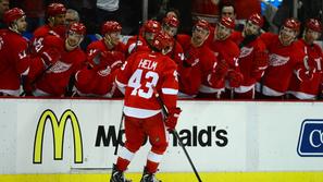 detroit red wings nhl