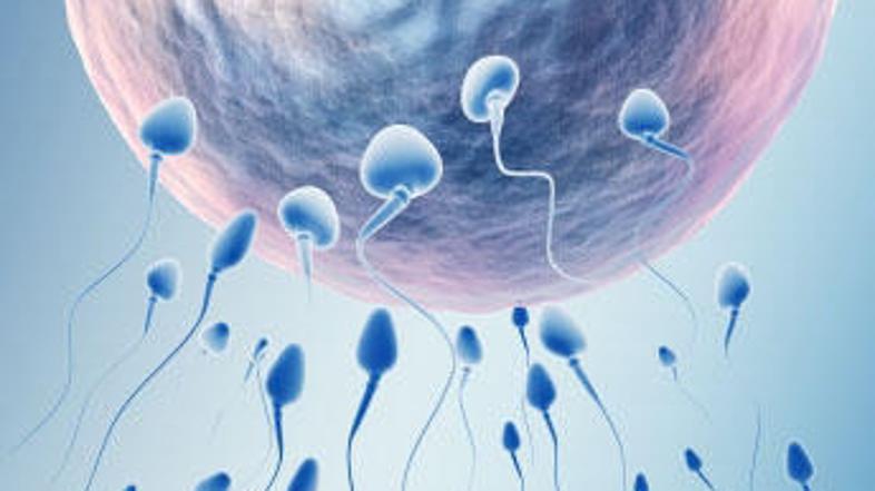 Med krizo se je treba znajti.