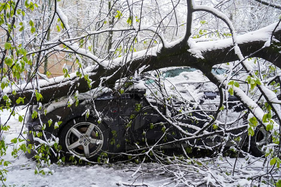 sneg v Moskvi konec aprila | Avtor: Profimedia