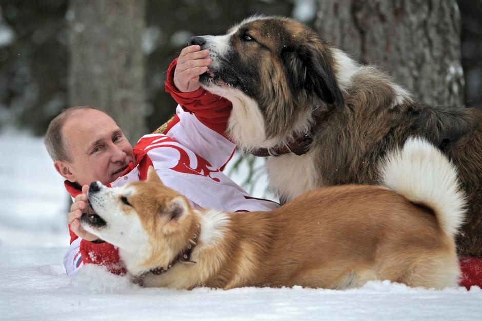 Akita inu in Vladimir Putin | Avtor: EPA