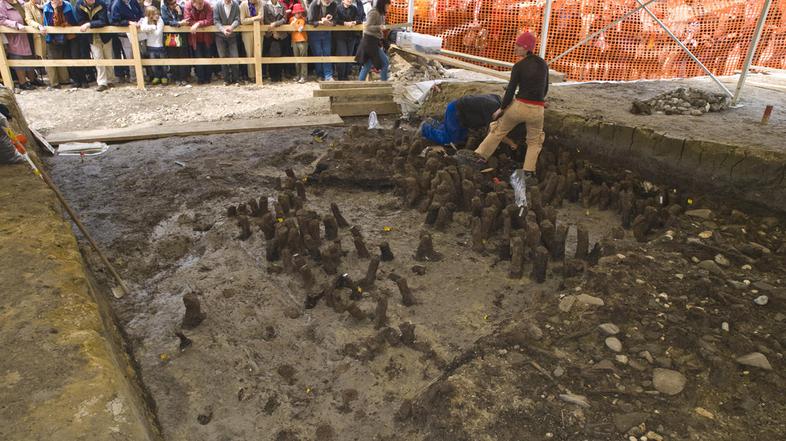 Javna vodstva bodo ob sobotah ob 11. uri potekala vse do 28. maja. (Foto: Bralka