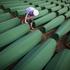 Srebrenica