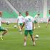 stožice olimpija trening pred austria