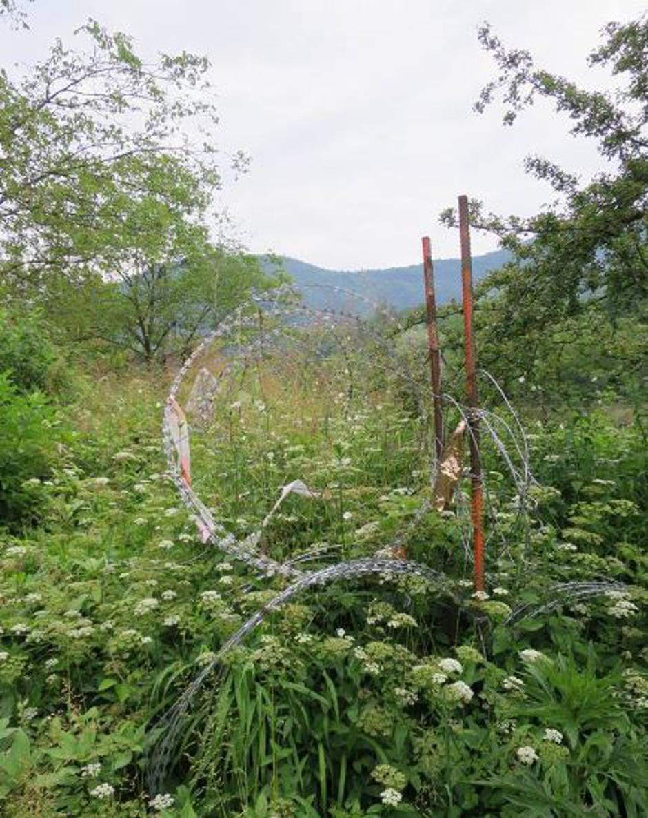 Žica ob Kolpi, preraščena s travo | Avtor: Helena Pantar
