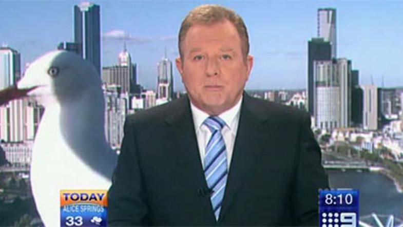 Galebu je v drugo le uspelo priti pred kamero in na male zaslone. @ Skynews