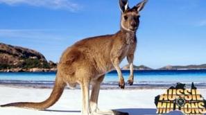 (Foto: Pokernews.si)