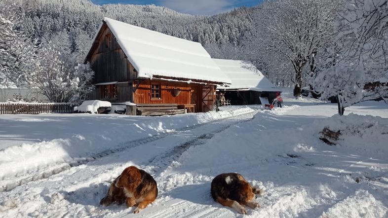 Združenje turističnih kmetij Slovenije