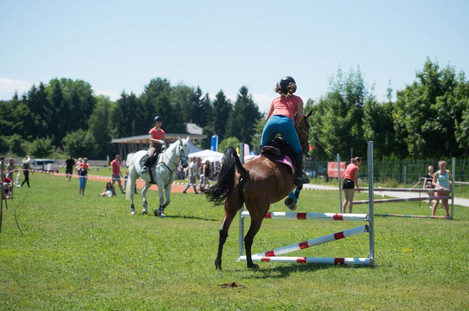 Festival za ljubitelje živali | Avtor: Anže Petkovšek