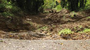 Zemeljski plaz na pobočju Marka nad Šempetrom pri Gorici