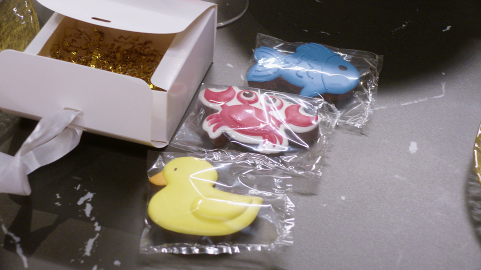 Riba, raca, rak; Anja Jenko | Avtor: Planet TV