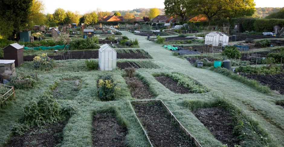 zelenjavni vrt | Avtor: Prfimedia