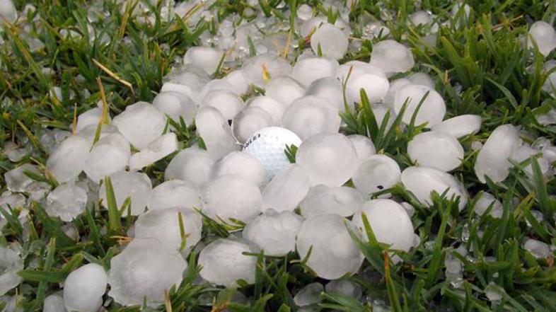 (Foto: Naša bralka)