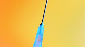 (Foto: Shutterstock)