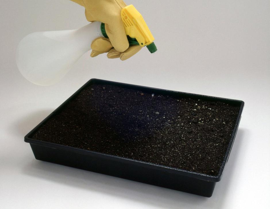 setev za sadike | Avtor: Profimedia