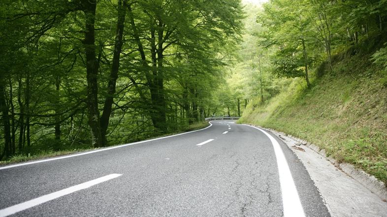 pomlad, cesta, asfalt