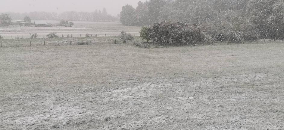 vreme Ljubljana sneg