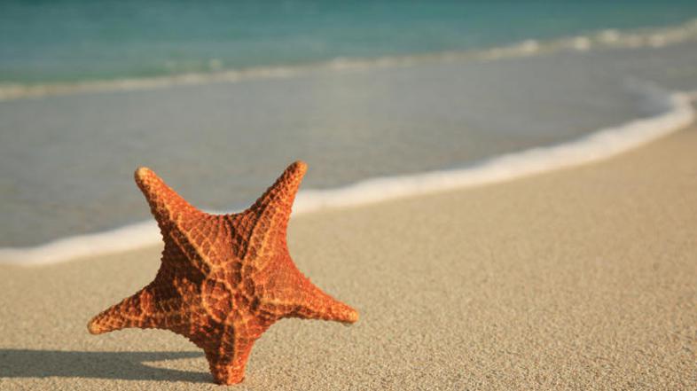 Pozor, ko na počitnicah v tujini kupujete (ali nabirate) spominke. Na Letališču 