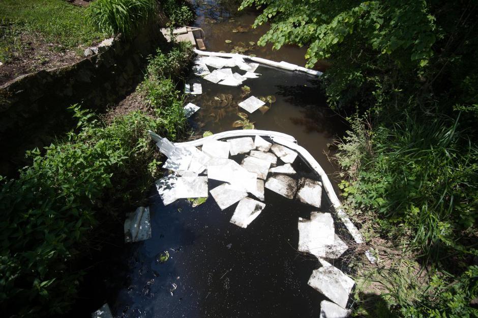 Kemis | Avtor: Anže Petkovšek