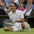 federer wimbledon