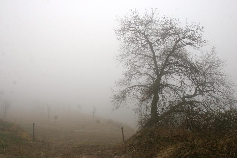 Danes in jutri bo pretežno jasno, zjutraj bo po nekaterih nižinah megla. (Foto:  | Avtor: Žurnal24 main