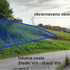 Sončna elektrarna