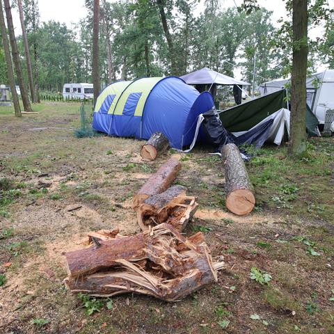 Kamp