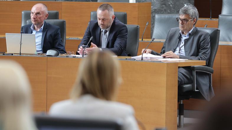 Novice: Bešič Loredan: "Izraz, ki ga je uporabil Golob, ni najbolj posrečen"