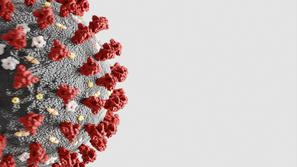 covid-19 koronavirus