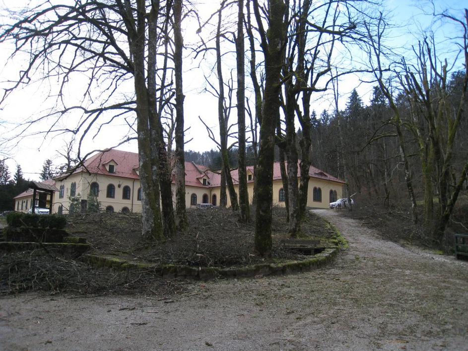 Snežnik